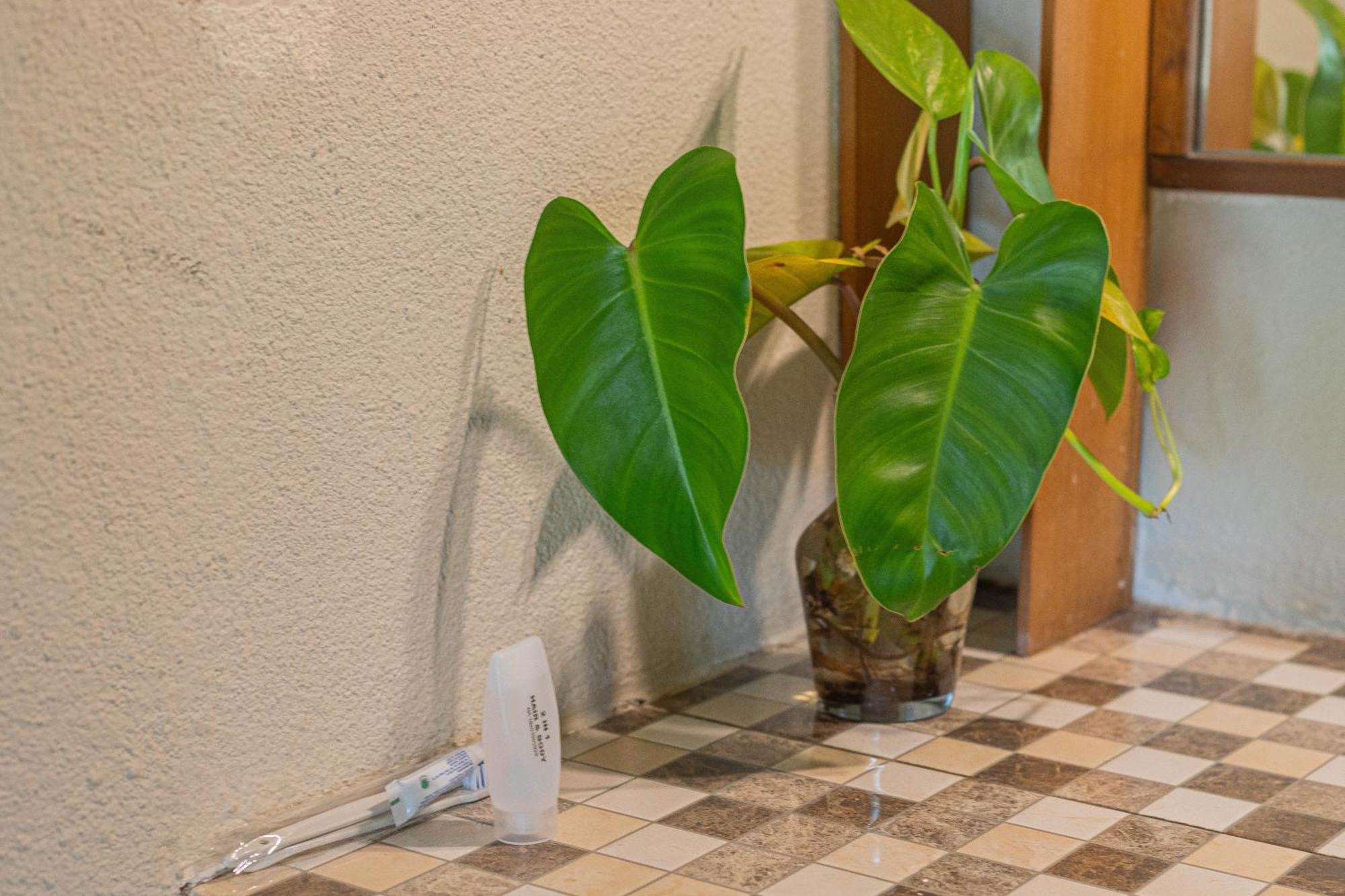 Green Asri Hotel Senggigi Zewnętrze zdjęcie